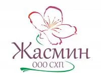 Ель обыкновенная